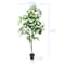 5ft. Potted Green Money Plant Tree by Ashland®